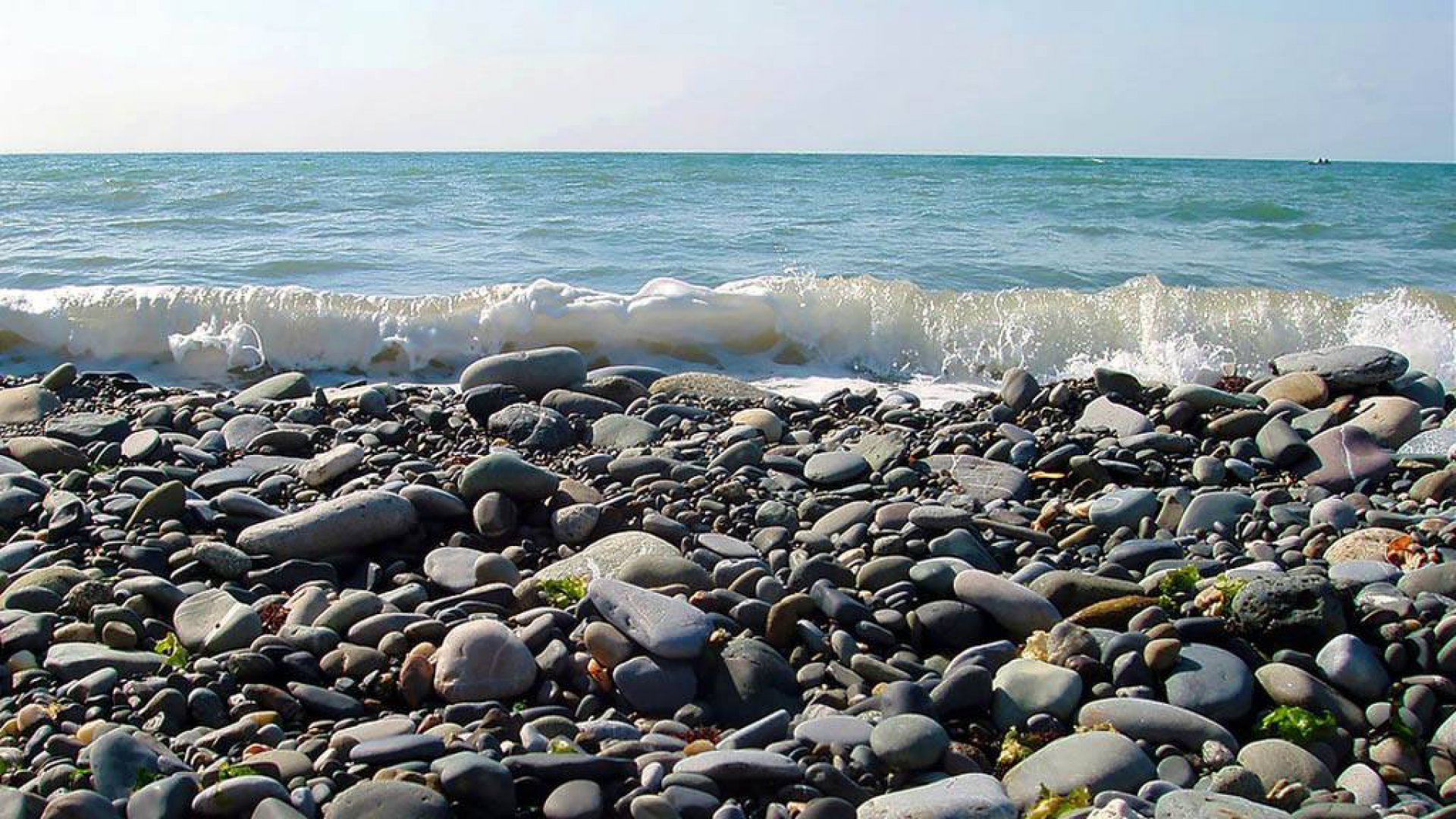 Черное море вода в мае. Сочи Адлер море. Галечный пляж Адлер. Берег черного моря Сочи. Лазаревское берег моря.