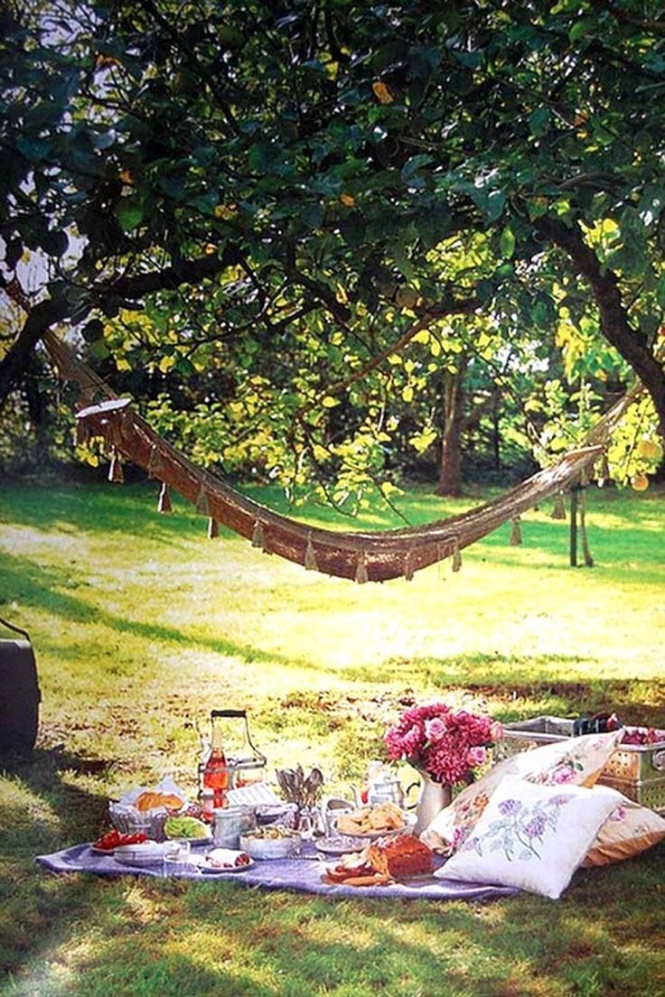 Пикник под деревом