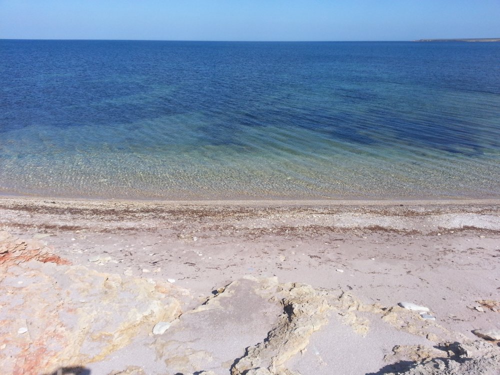 Тарханкут Крым Оленевка пляж
