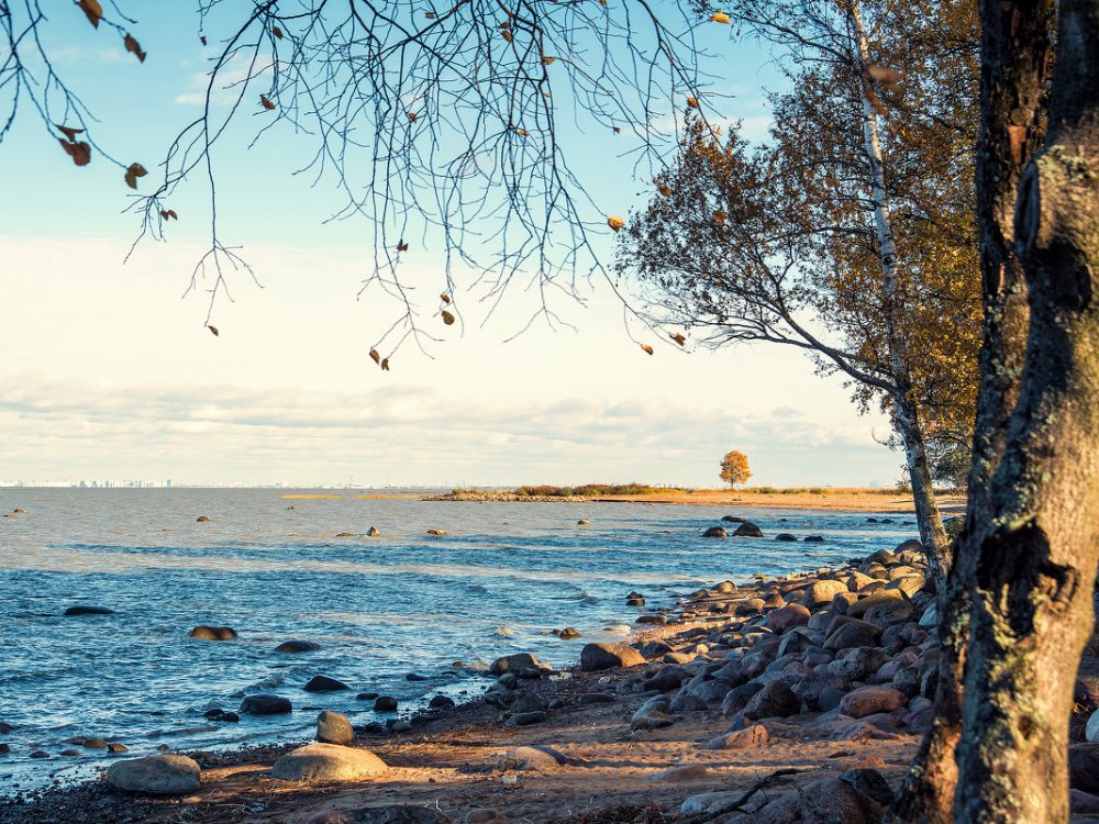 Осень финский залив Зеленогорск берег