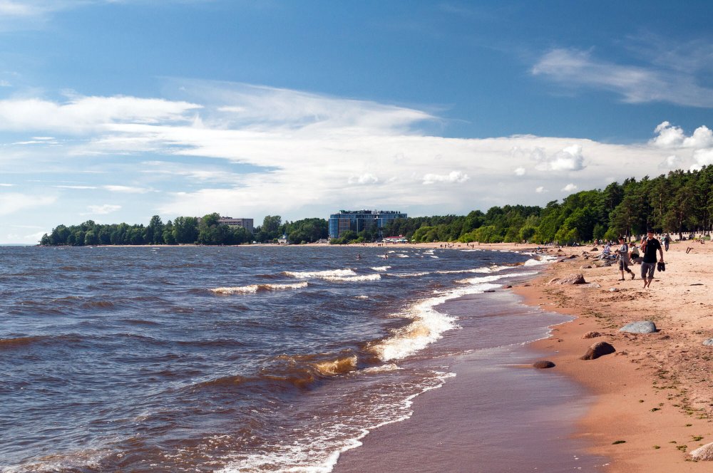 Финский залив в Санкт-Петербурге Репино