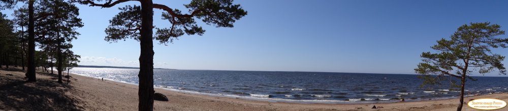 Берег финского залива Сосновый Бор