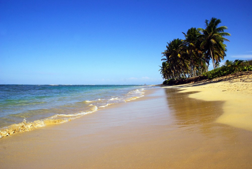Пунта Кана пляж пальмы