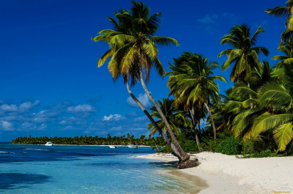 Райский остров Доминикана