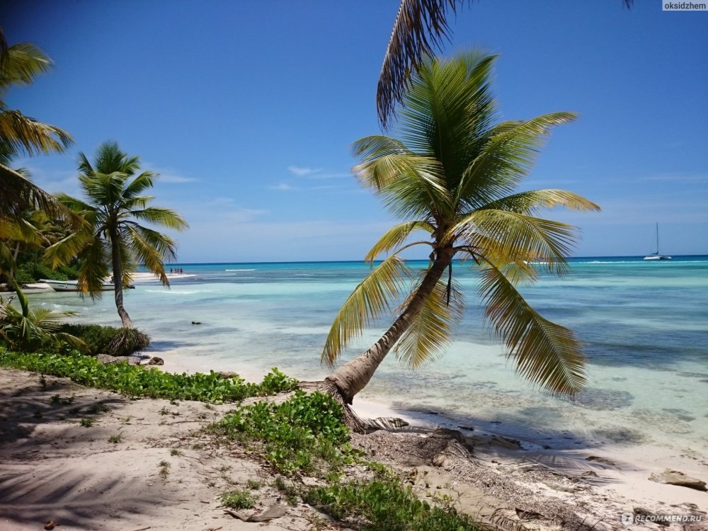 Доминикана пляж Баунти