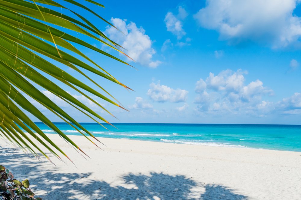 Куба пляжи природа