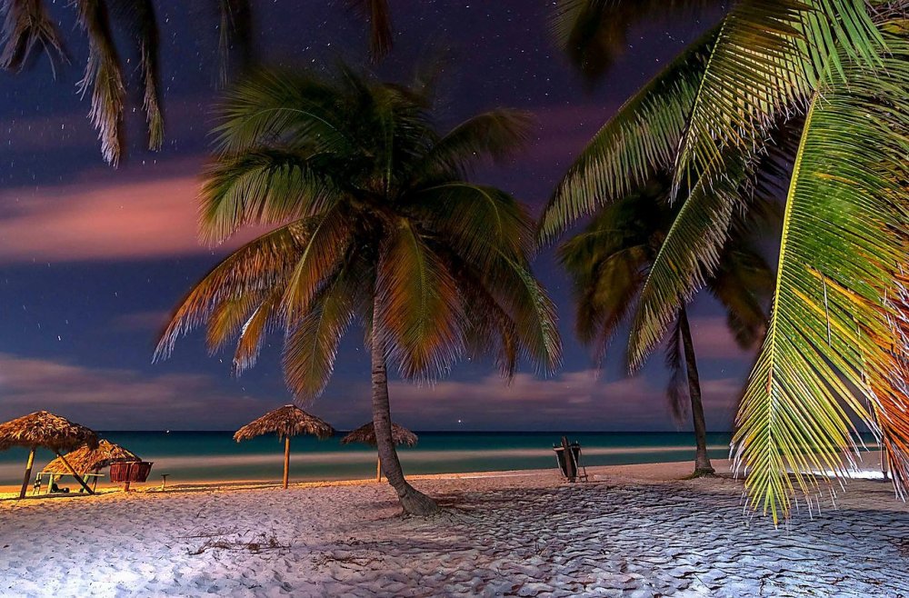 Море пальмы вечер