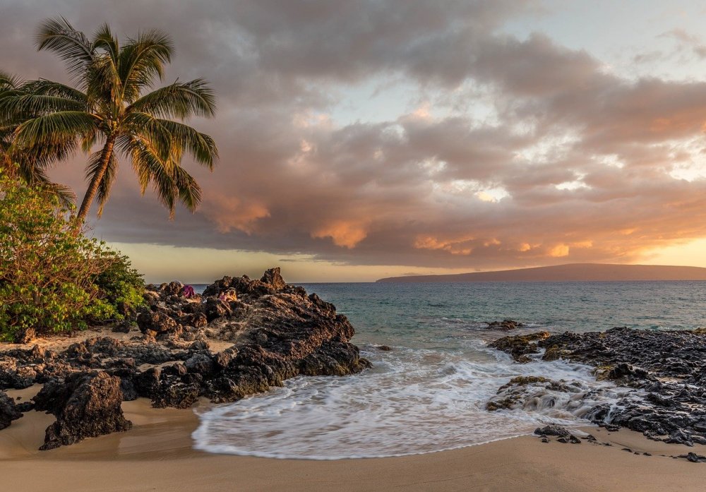 Гавайские острова пальмы море
