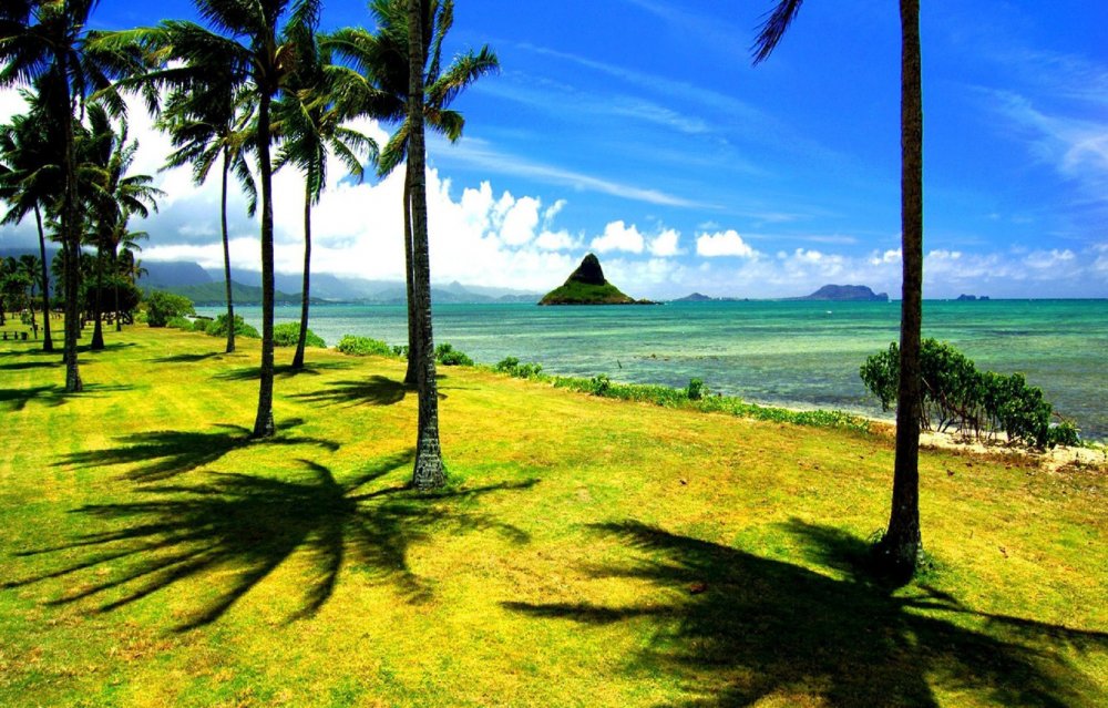 Гавайи пальмы пляж