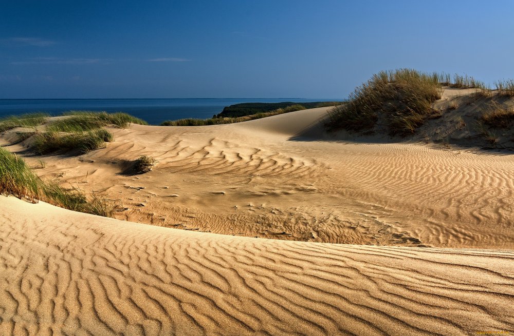 Литва дюны