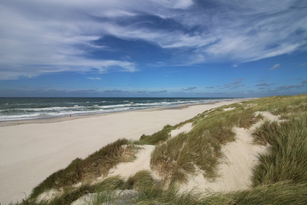 Балтийское море Куршская коса пляж