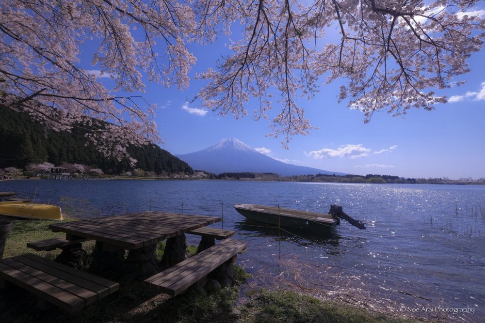 Озеро Касумигаура в Японии