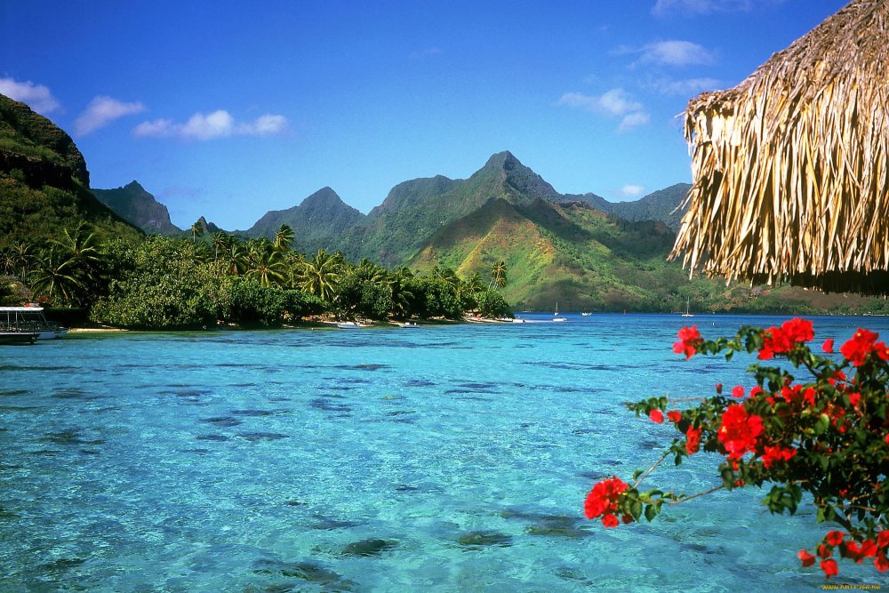 Остров Муреа французская Полинезия