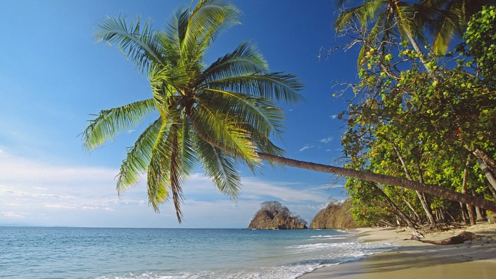 Коста Рика природа пляжи