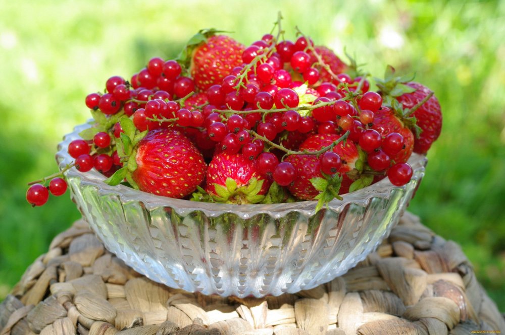 Красивые летние ягоды