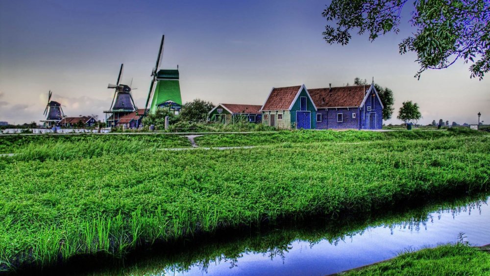 Нидерланды природа