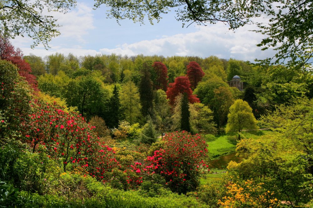 Горы Ботанический сад Англия