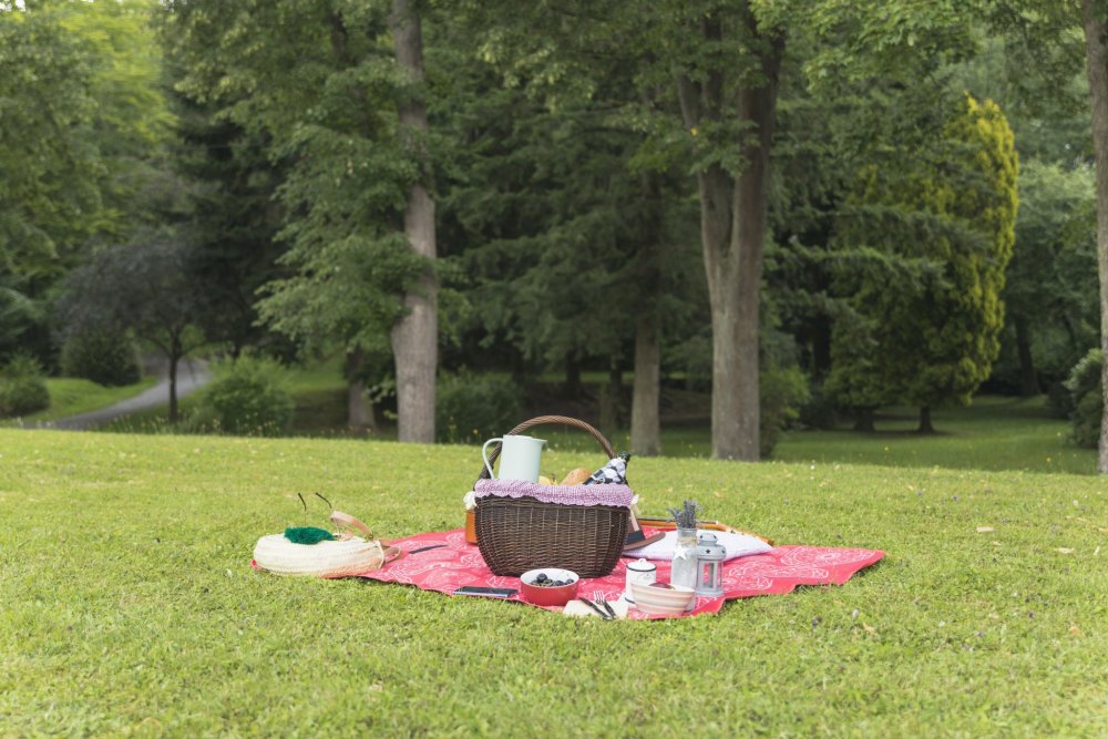 Пикник на зеленой траве