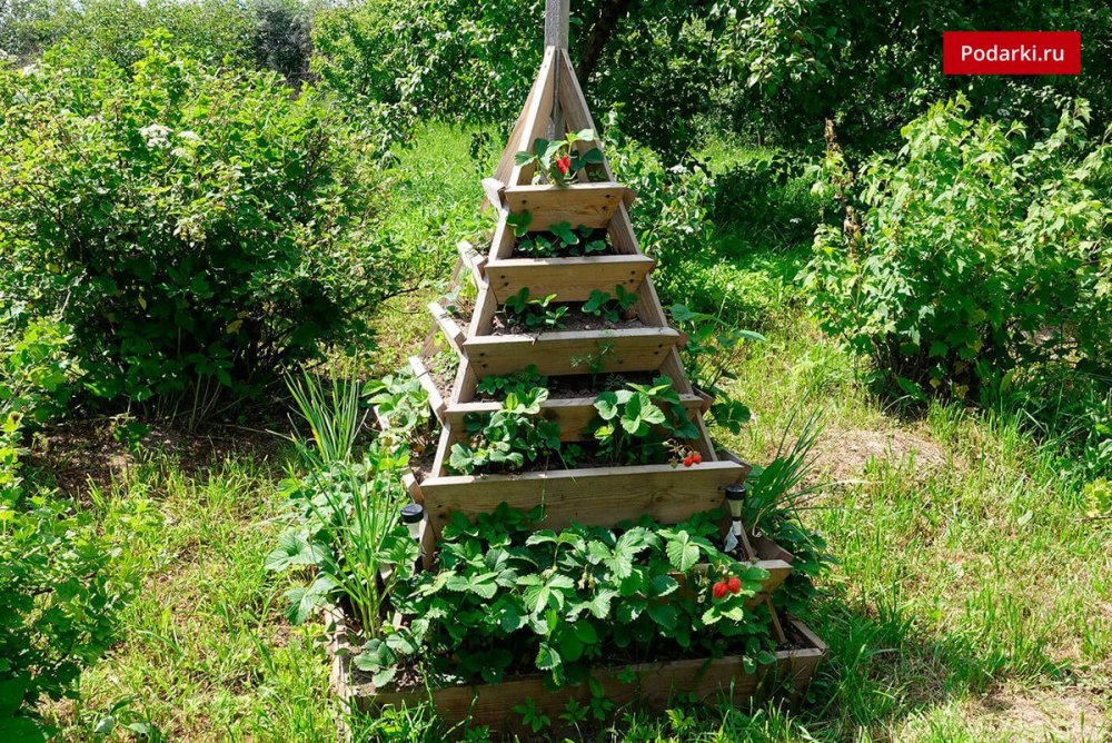 Грядка пирамида для зелени