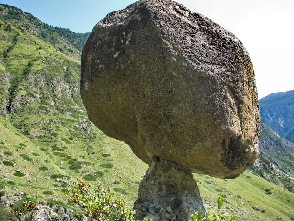 Каменные грибы Чулышман горный Алтай