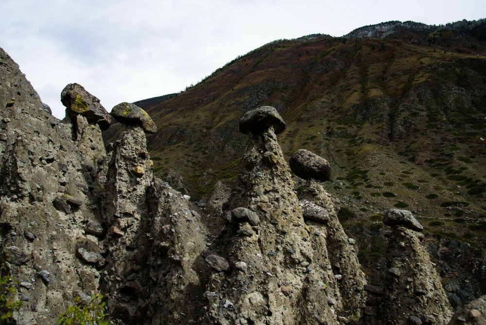 Урочище Аккурум каменные грибы