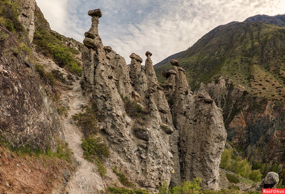 Каменные грибы Алтай местонахождение