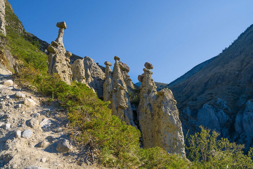 Каменные грибы горный Алтай