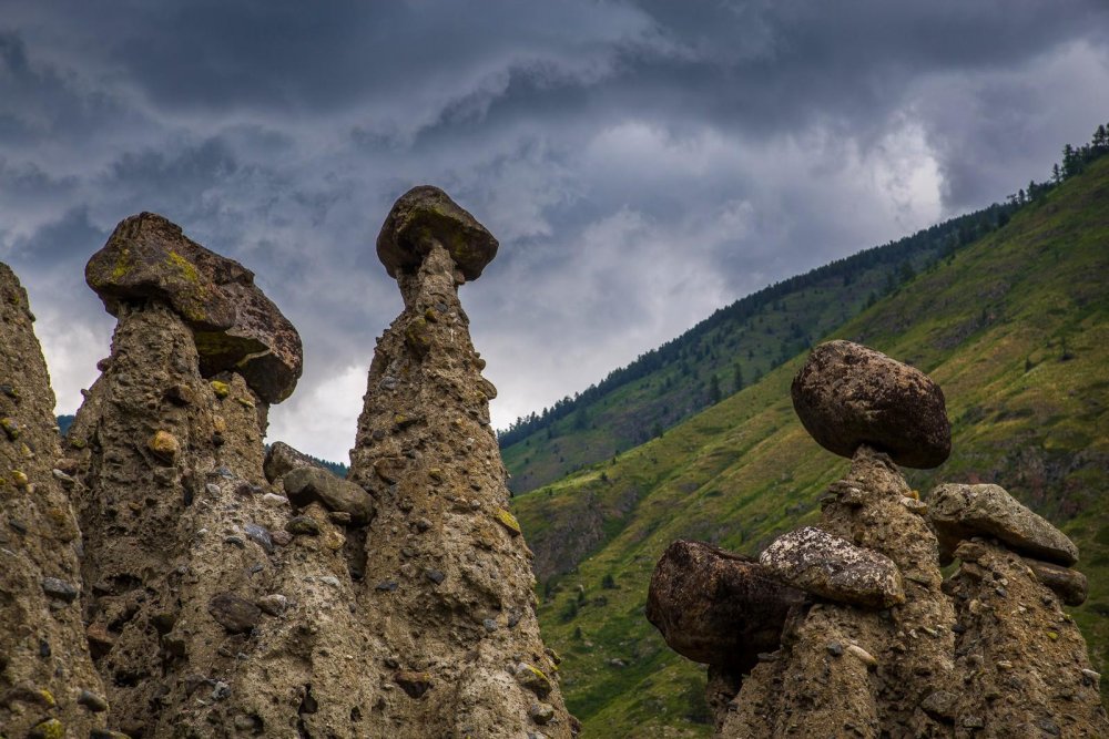 Дорога на каменные грибы Алтай