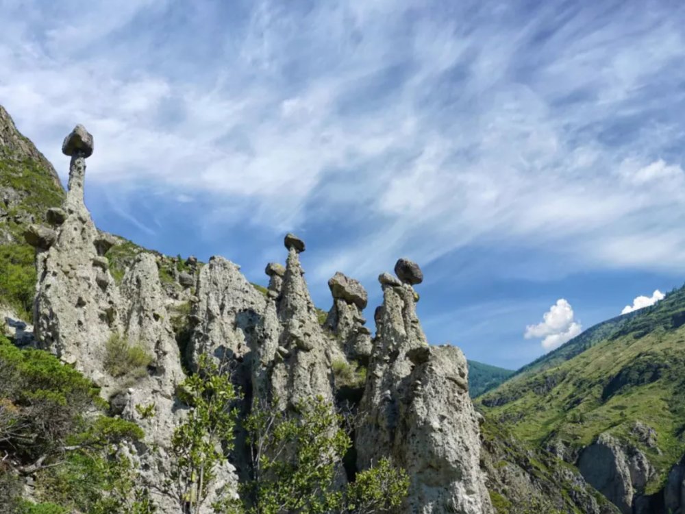 Каменные грибы Алтай