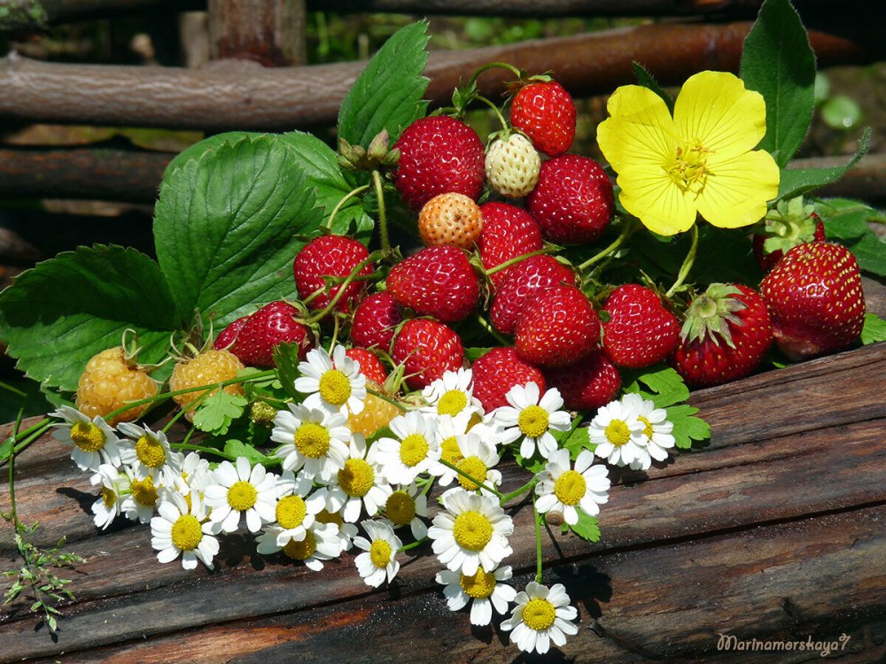 Летние ягоды и цветы