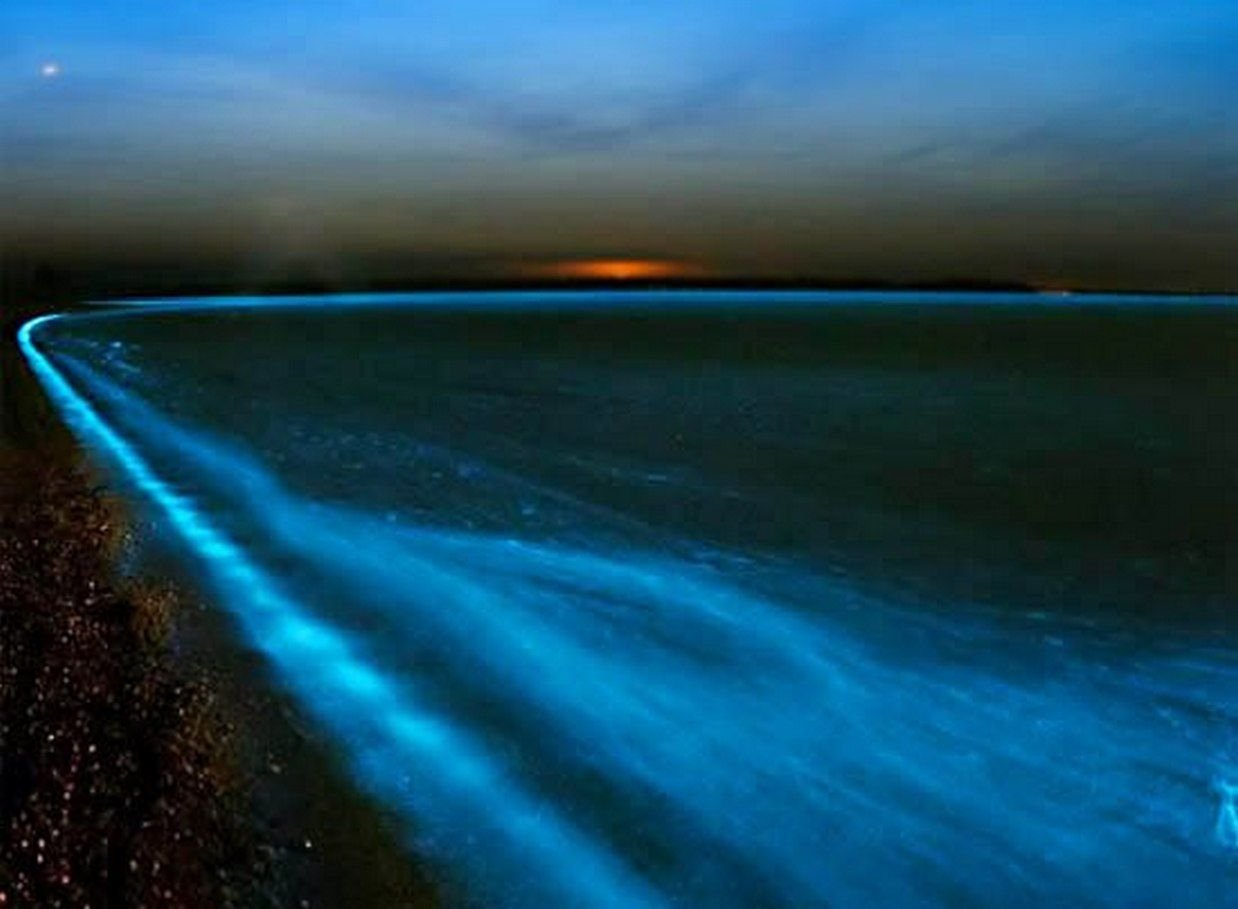 Азовское море фосфорится