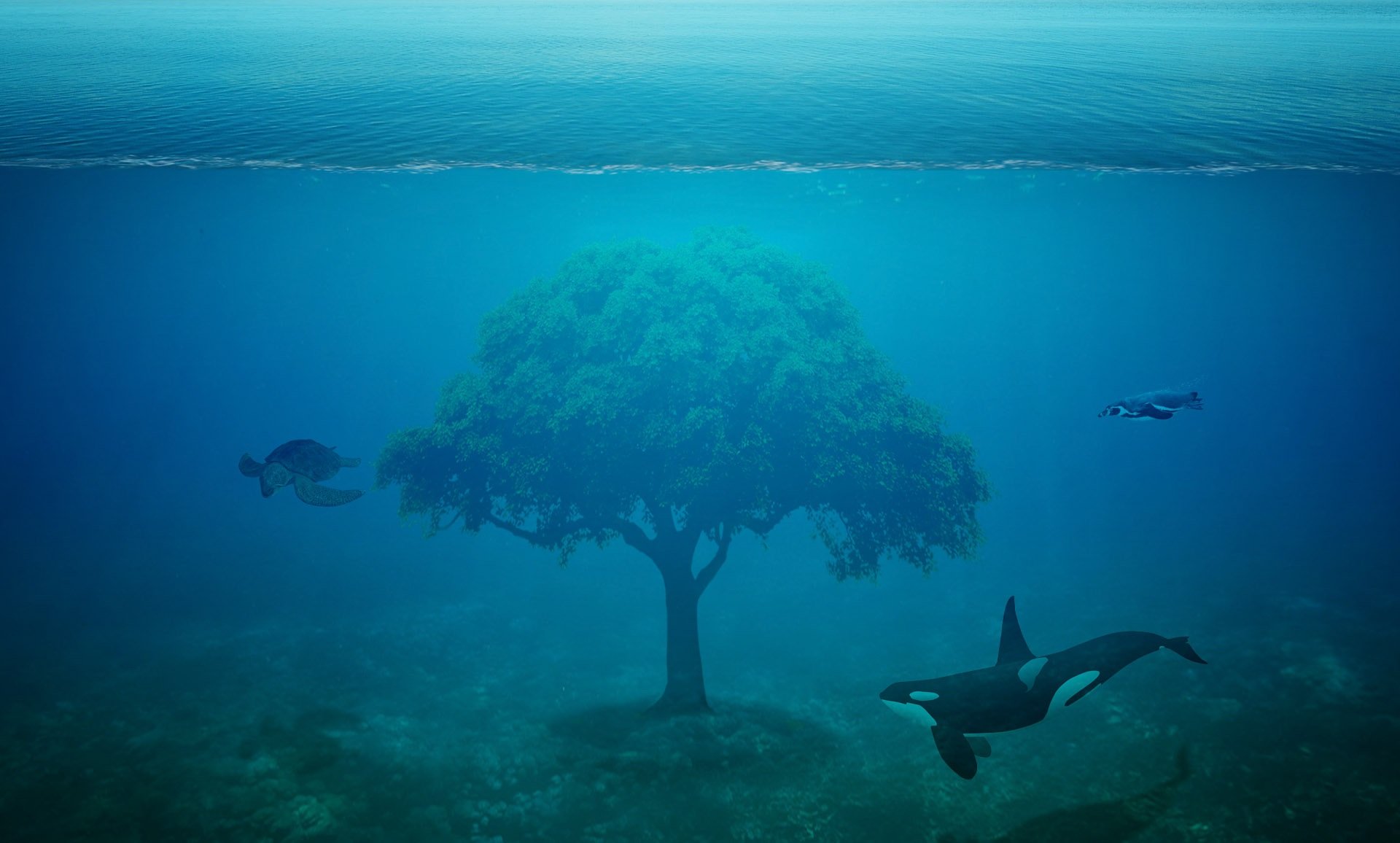Подводный рай