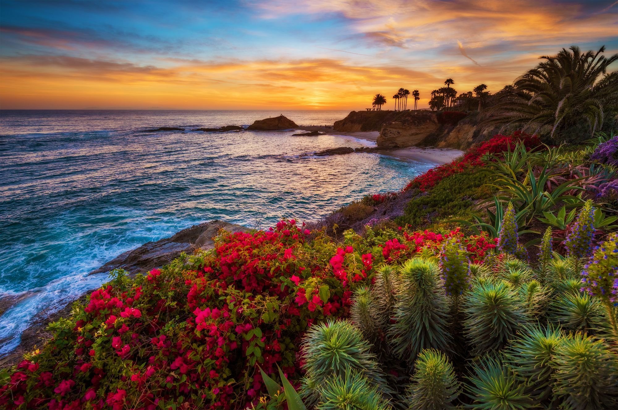 Flower beach. Лагуна-Бич Калифорния. Калифорния пляж Лагуна Бич. Калифорния Гавайи. Гавайи Багамы.