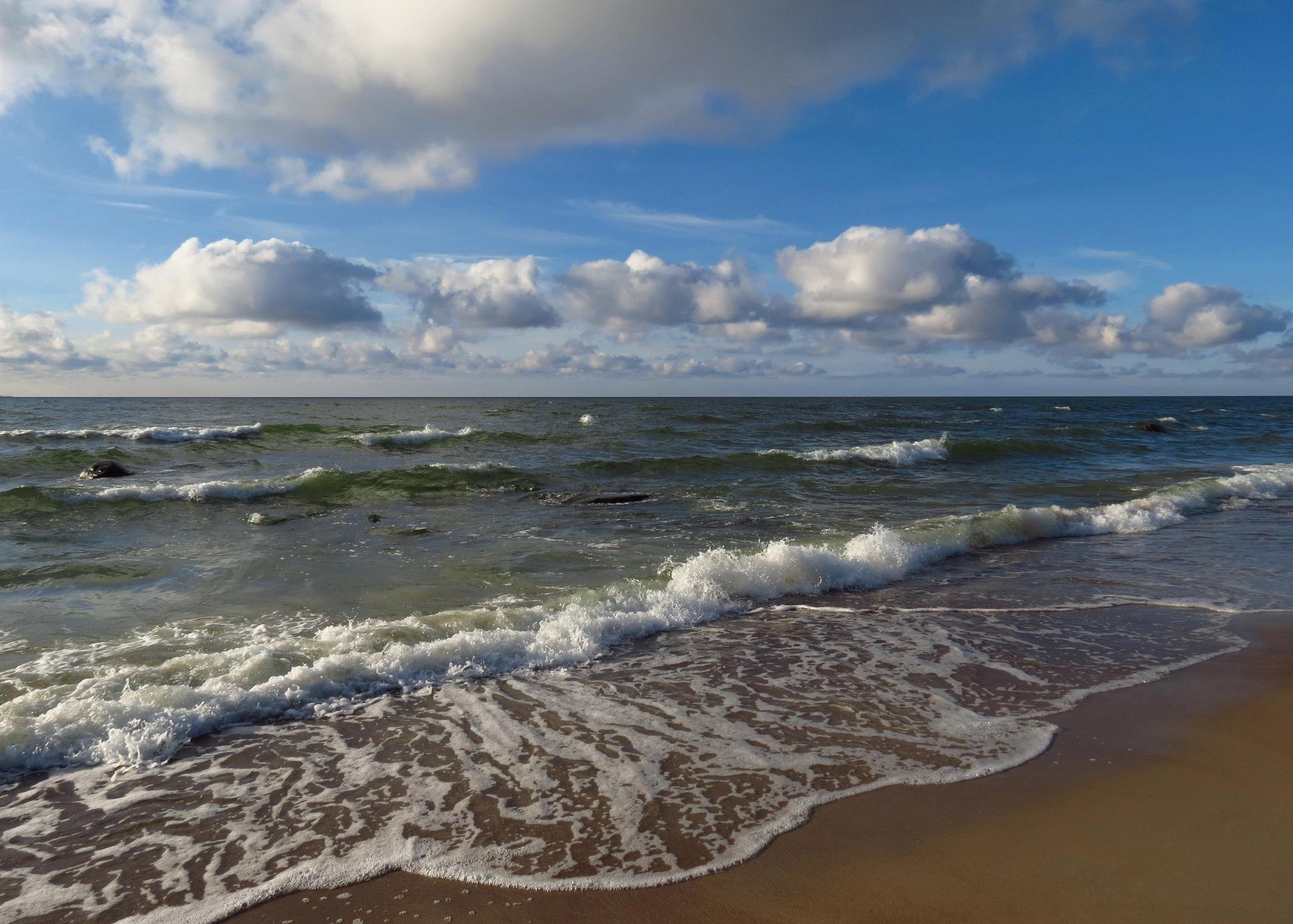 Балтийский берег морская