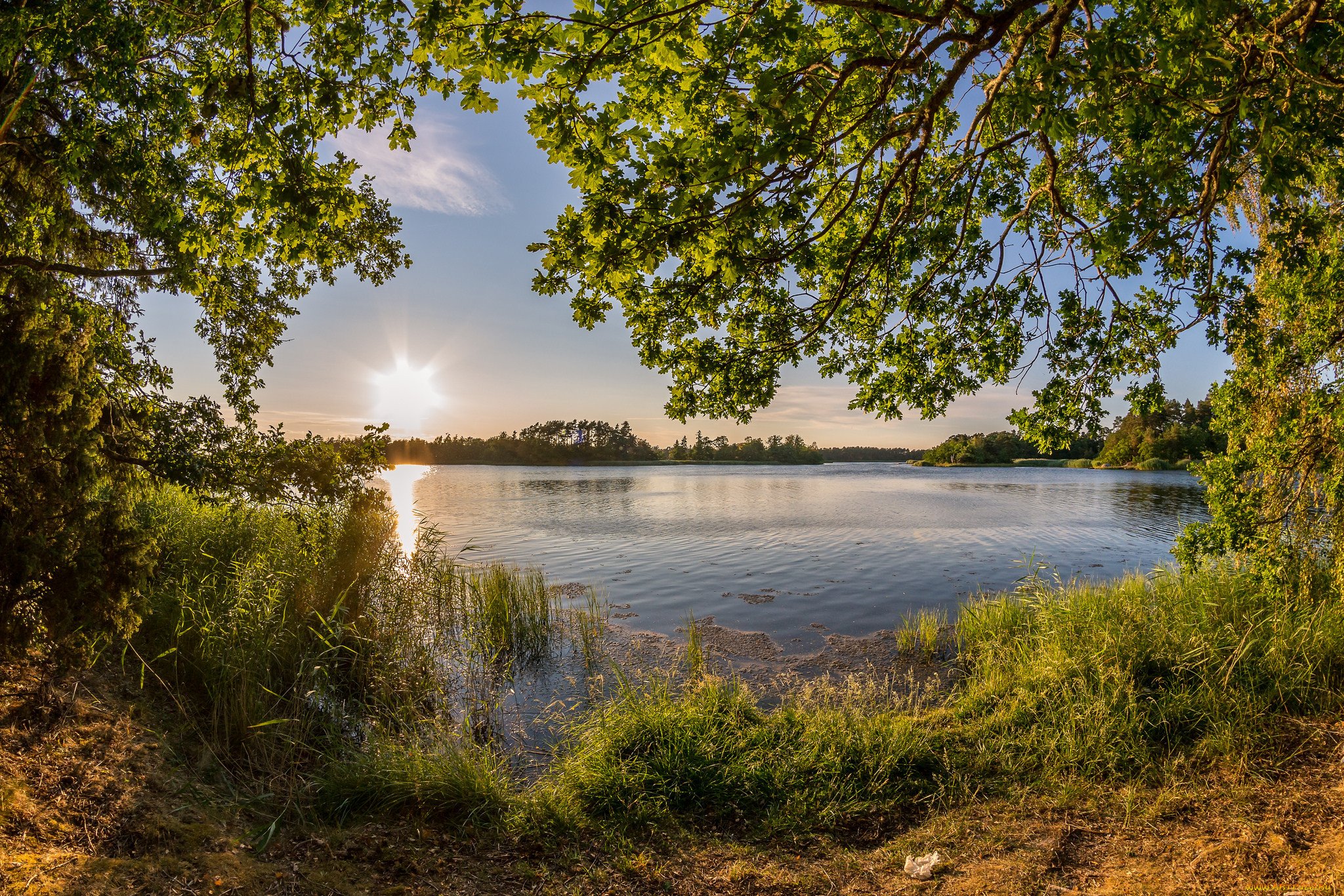 Обои нижегородская область. Природа Нижегородской области. Пейзажи Нижегородской области. Утро на озере. Нежная природа река.