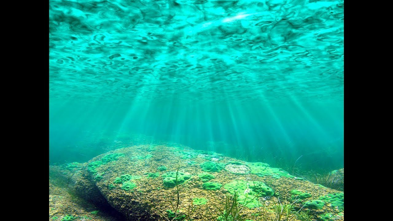 Фото под водой. Дно озера. Речное дно. Озеро под водой. Морское дно.