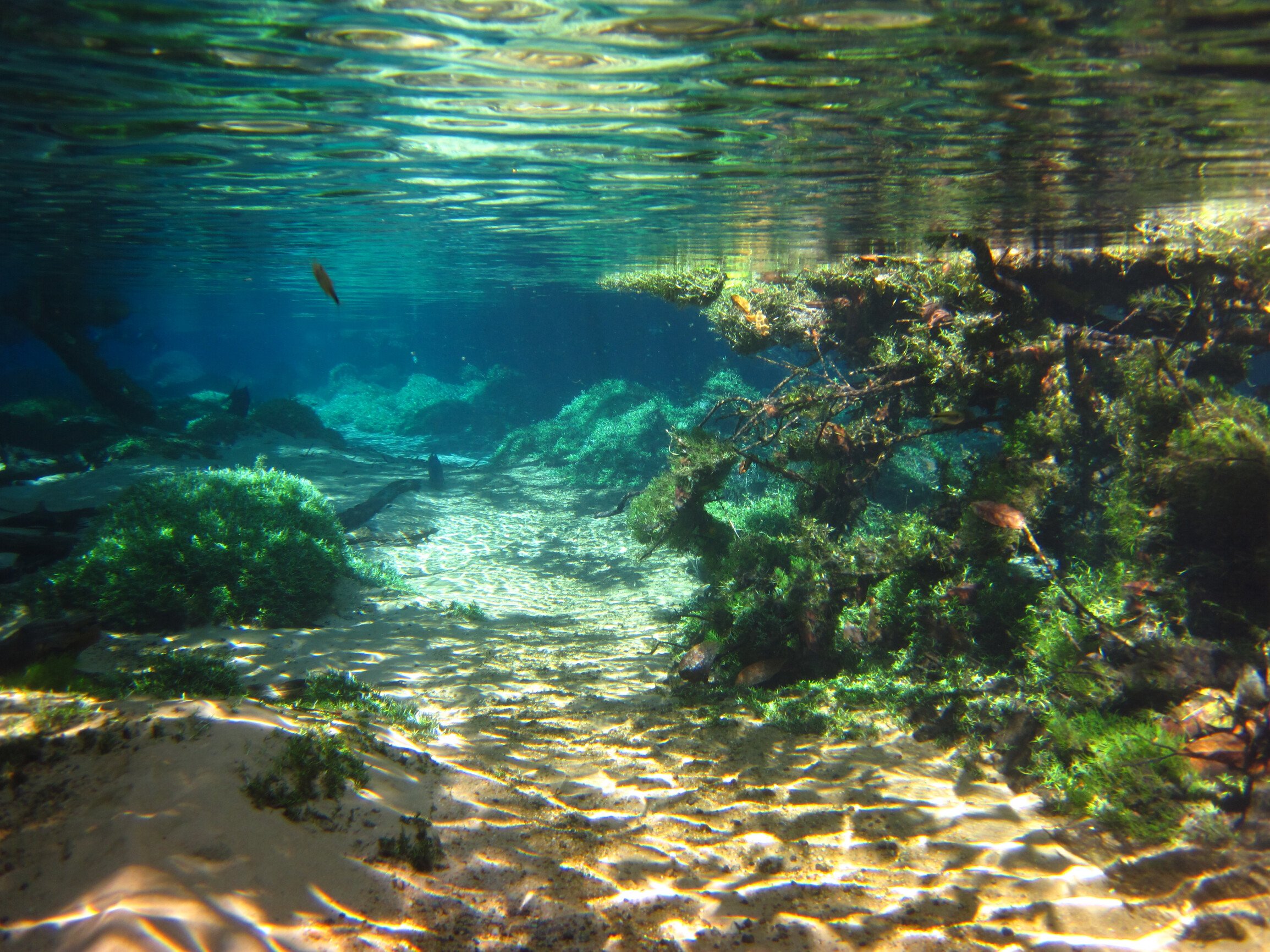 Черное море под водой