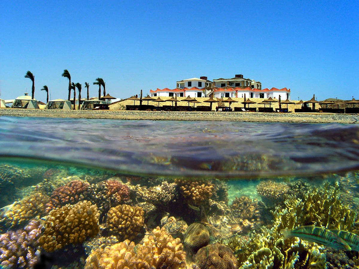 Красное море хургада отзывы. Остров Парадайз Хургада. Сафага Египет. Сафага Египет море. Красное море Сафага.