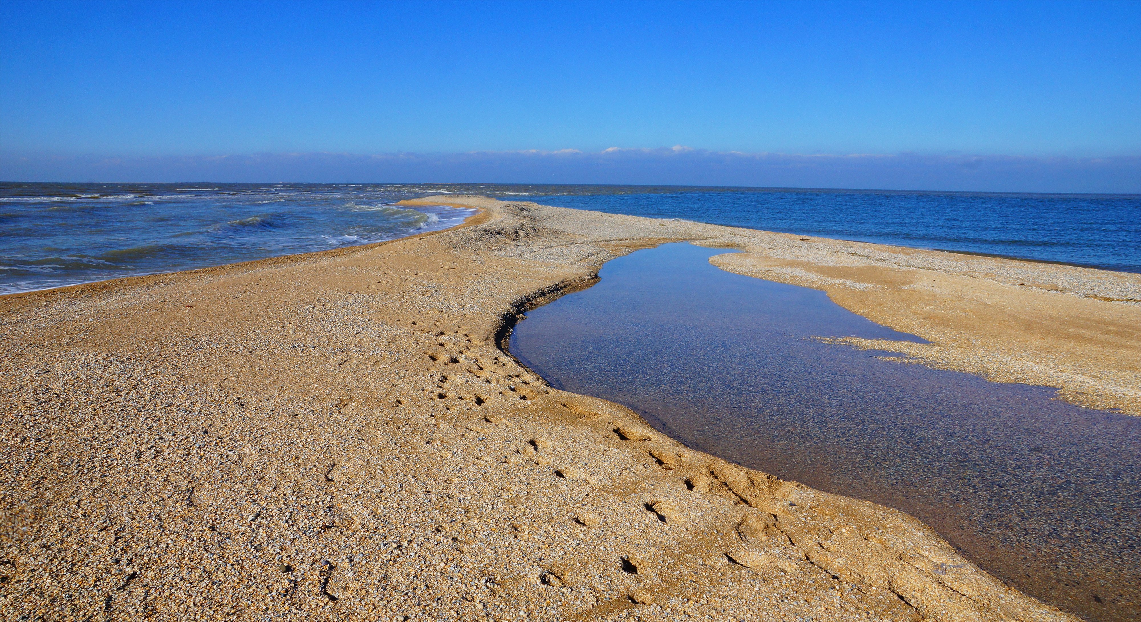 Море отзывы. Беглицкая коса Азовское море. Должанская коса. Песчаная коса Азовское море. Песчаная коса долгая Азовский район.