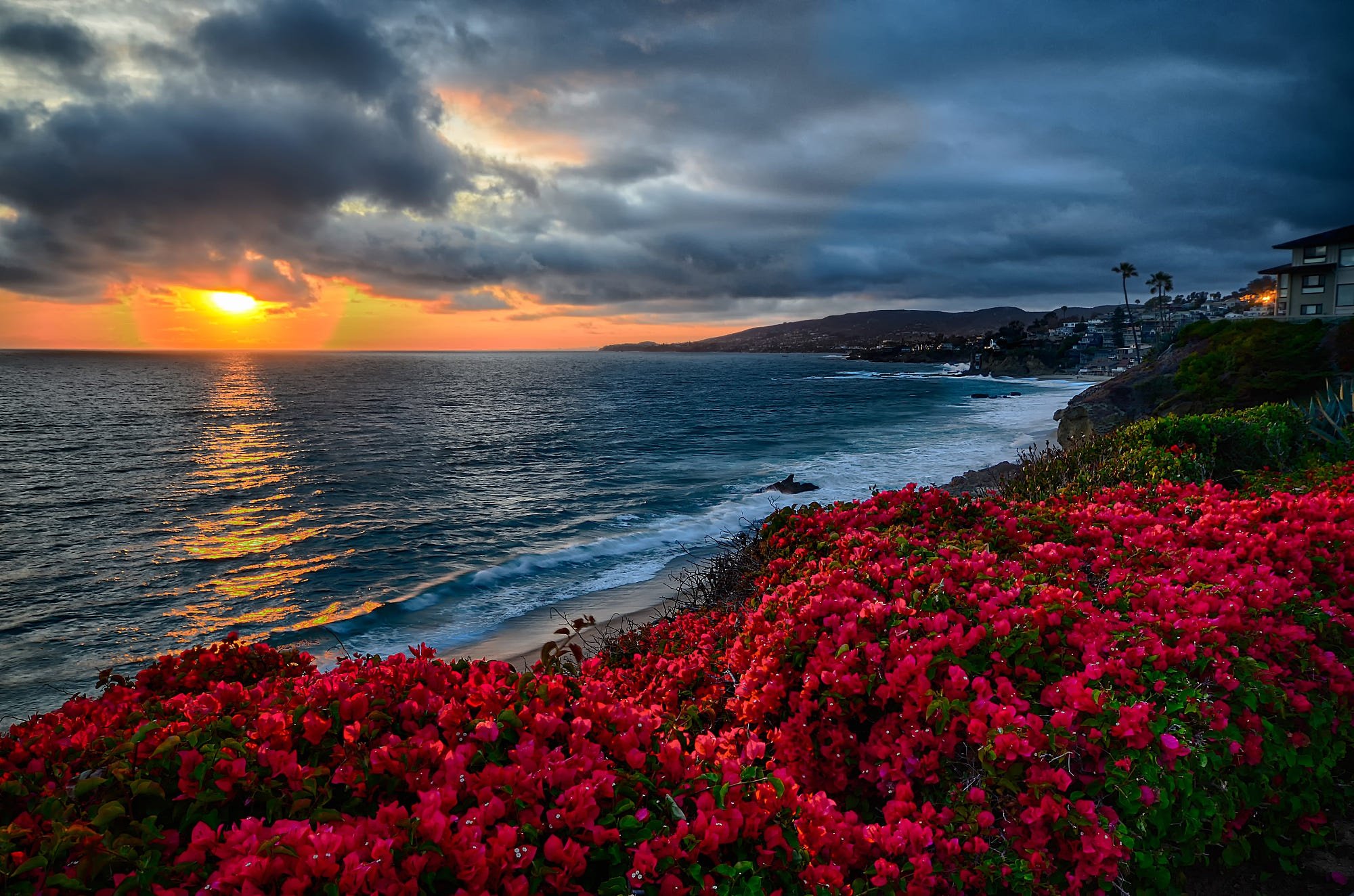 Flower sunset. Красивое море. Красивая природа море. Море цветов. Пейзаж море.