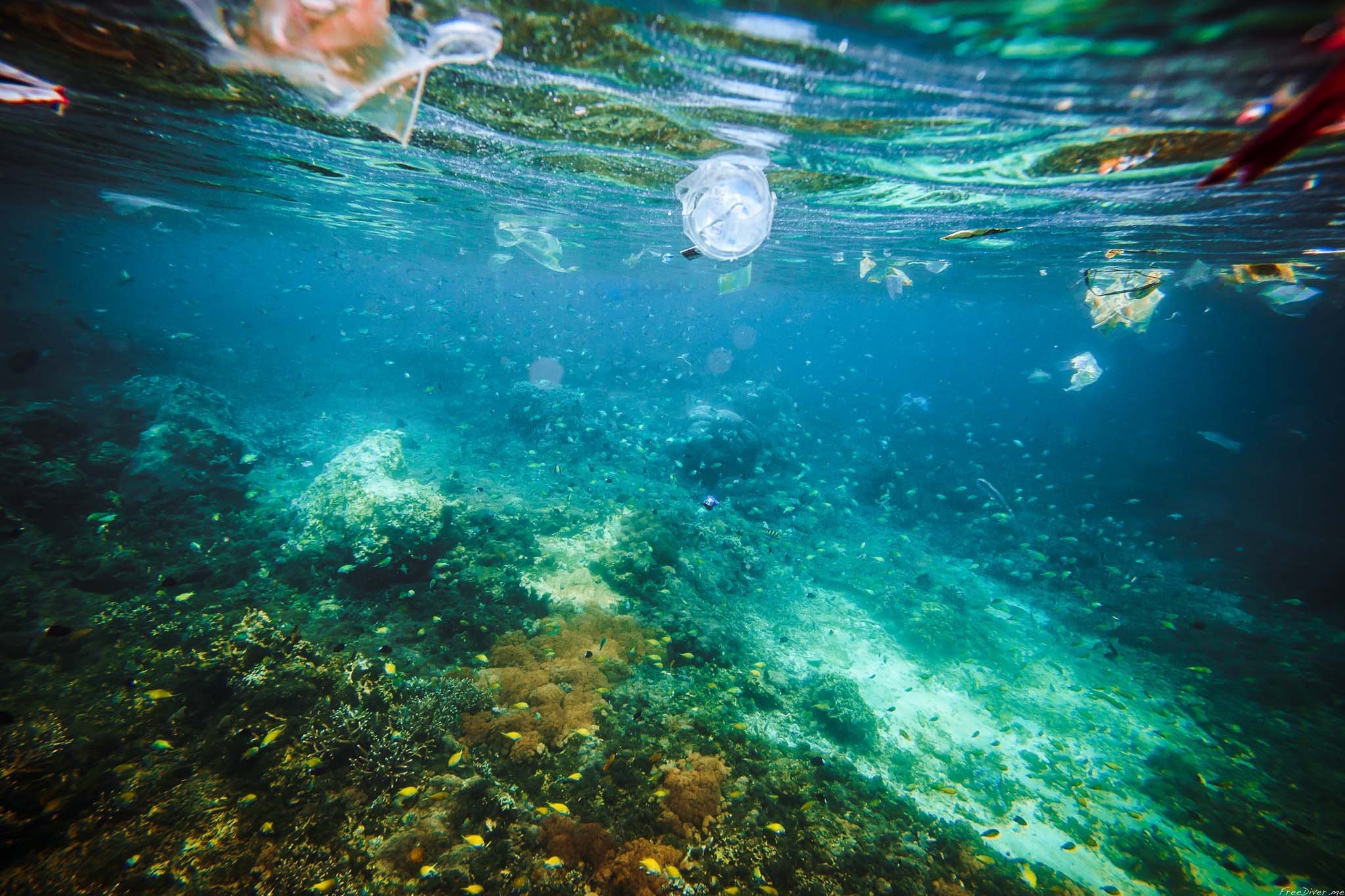 Del ocean. Океан под водой. Загрязнение мирового океана. Под морем. В толще воды.