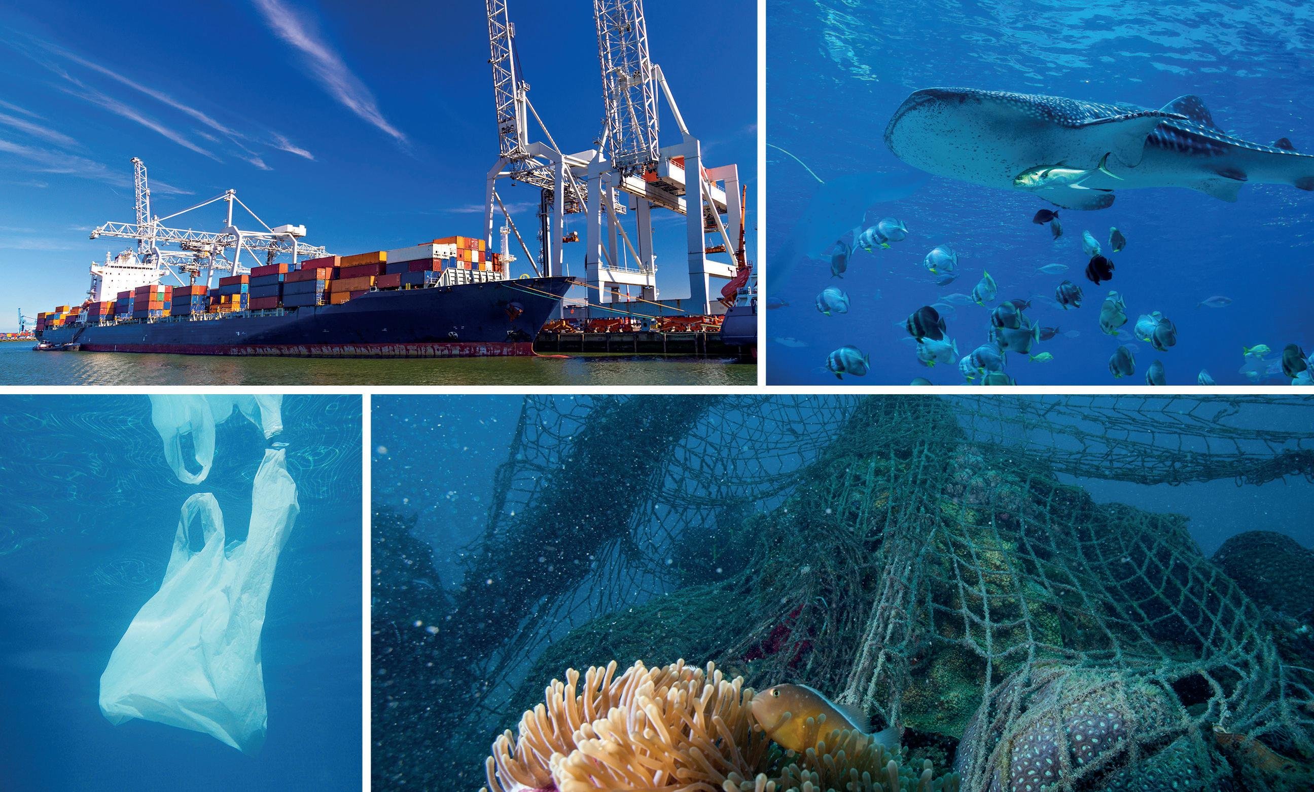 Глобальные проблемы использование ресурсов мирового океана