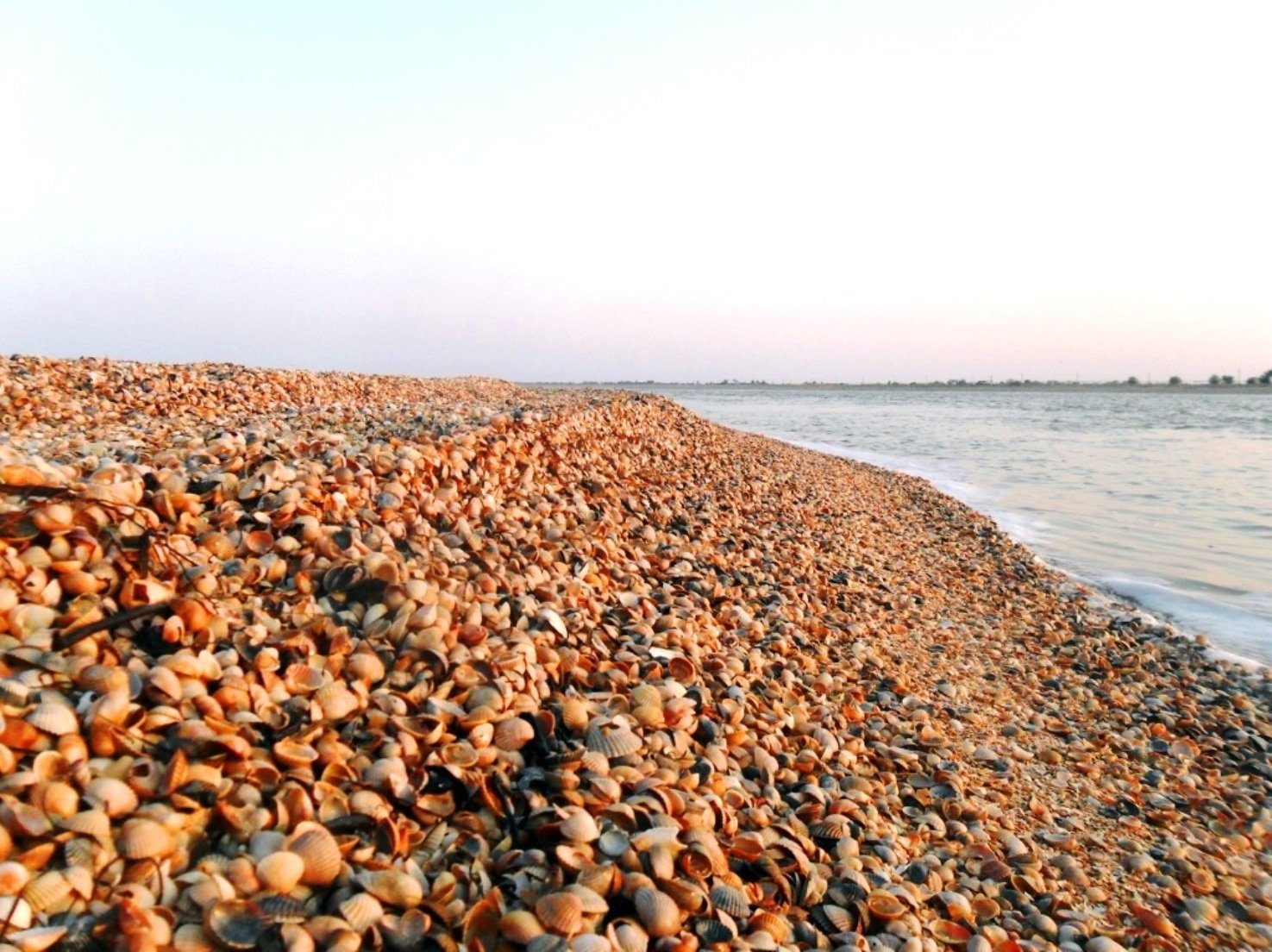 Коса на азовском море должанская фото