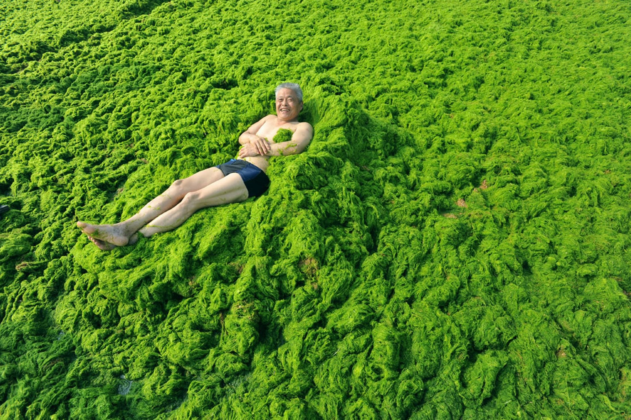 Зеленый купаться