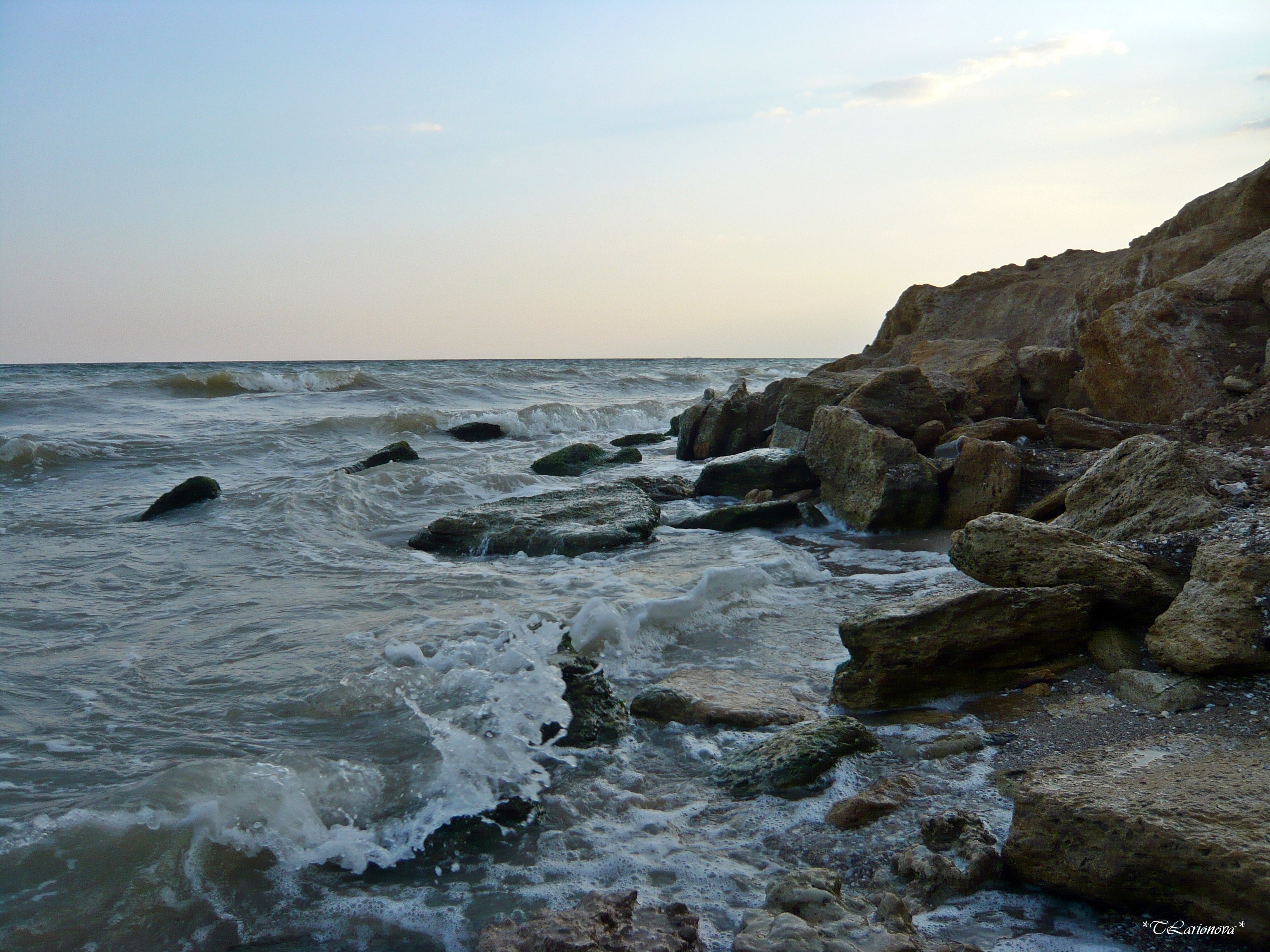 Черноморское одесская. Черное море Одесса. Одесса море фото. Одесская банка в черном море. Серые кусты у моря в Одессе.