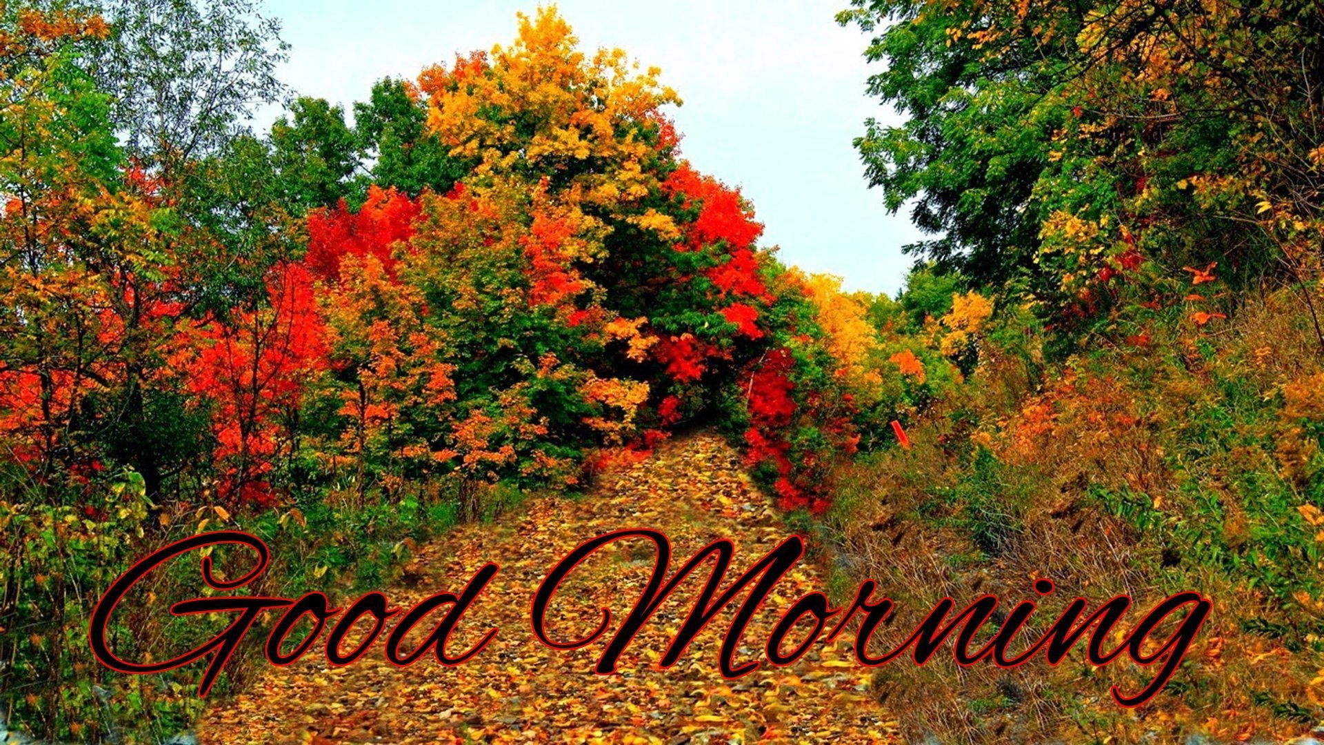 Хороший осени картинки. Осенний день. С добрым осенним утром природа. Осенние пейзажи с добрым утром. Осеннее утро картинки.