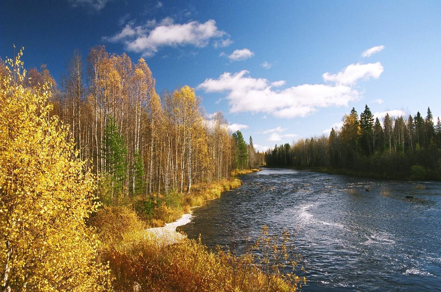 Природа этого региона удивляет. Карело-финская природа. Северо-Западный федеральный округ природа. Осенняя река Карелия. Природа Карелии.