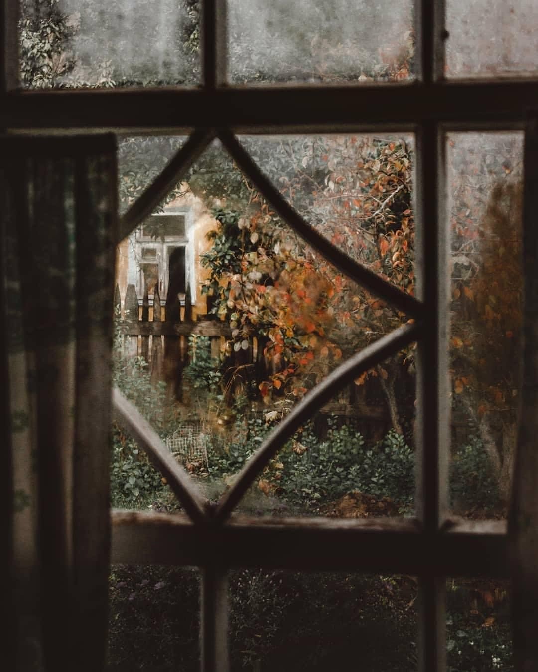 Ilgiz за окном дождь. Окно осень. Осень за окном. Дождь за окном. Осень из окна.