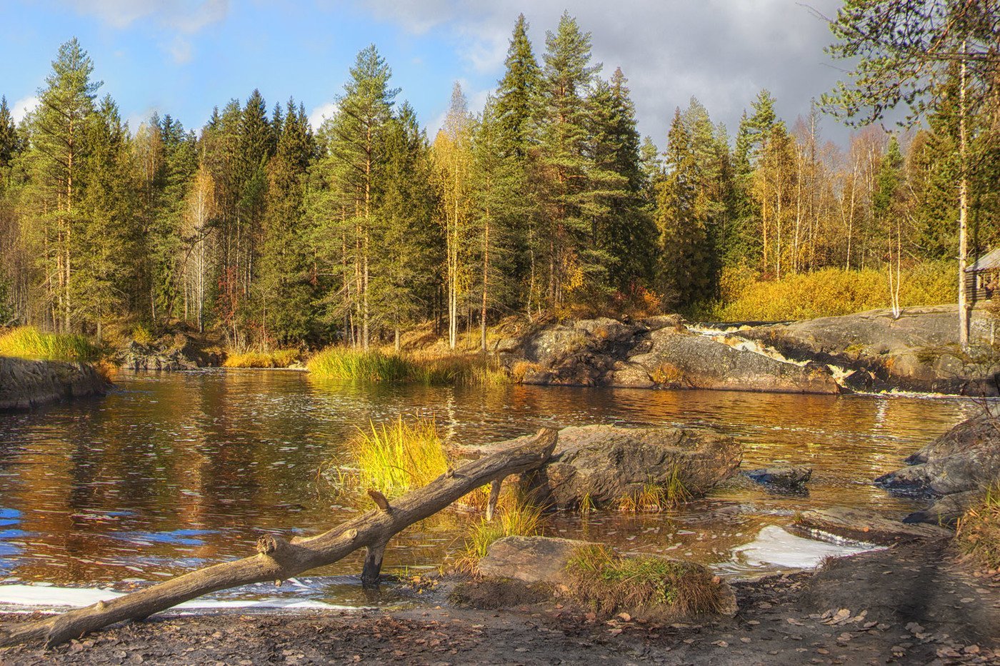 Река летняя Карелия