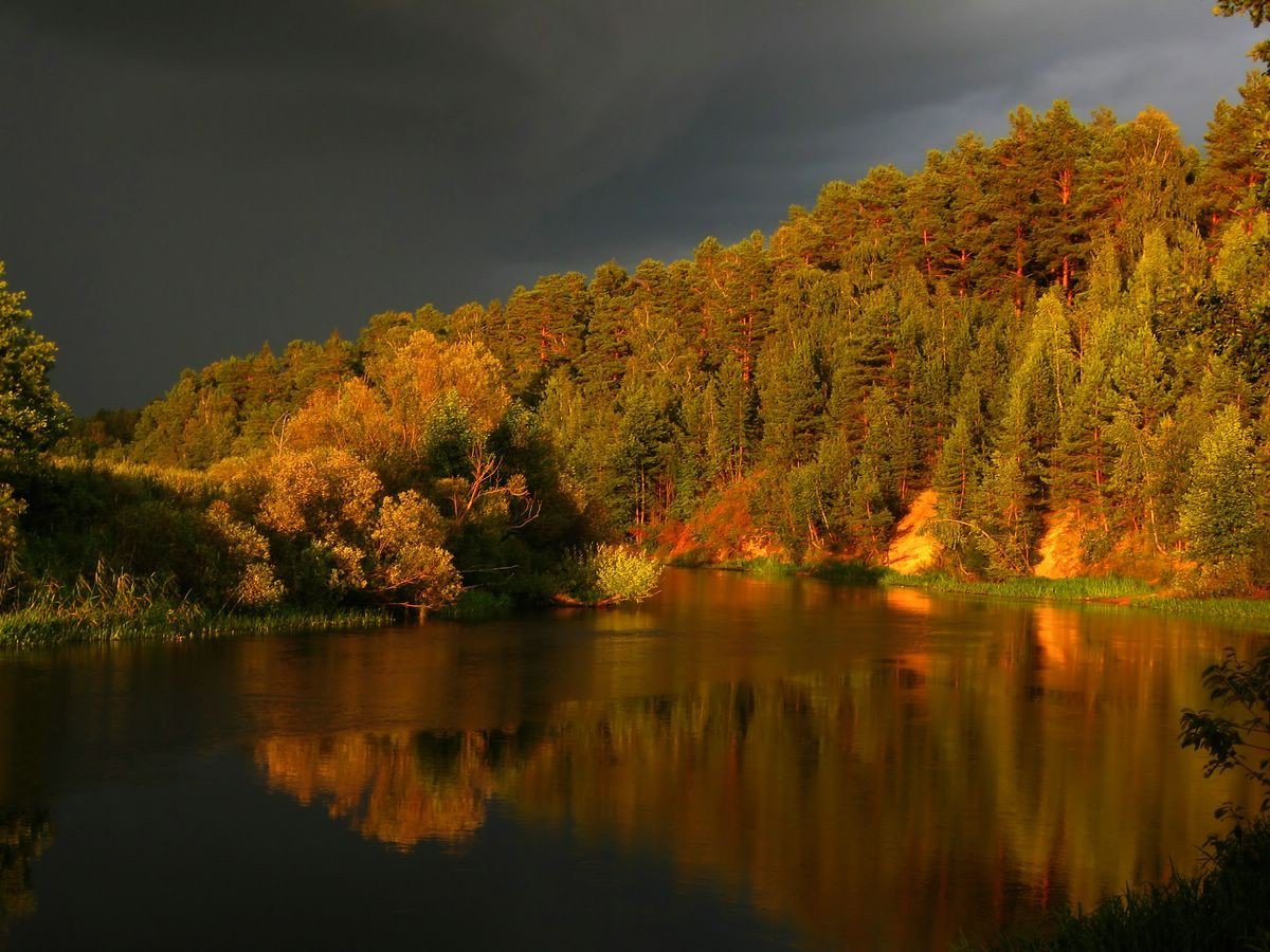 Пейзажи природы Беларуси